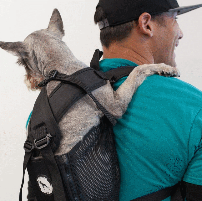 Ruffit Dog Carrier: Wear Your Dog On Your Back - Cool Wearable