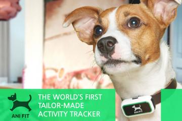 AniFit: Weight and Fitness Monitor for Dogs