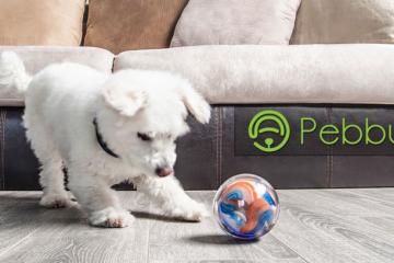 Pebby Robotic Pet Ball with Wearable Tracker