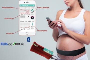 Makeaway Wearable Fetus Health Monitor