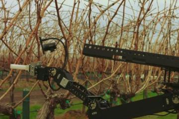 Remote Operated Vineyard Robot with VR Control