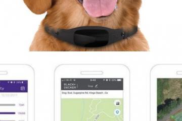 BLACK+DECKER Smart Dog Collar with GPS