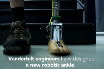 Engineers Develop Adaptive Robotic Ankle