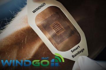 WINDGO Smart Bandage for Health Tracking