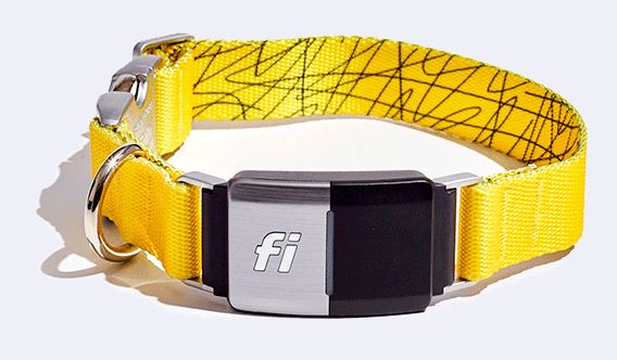 Fi Smart Collar for Dogs