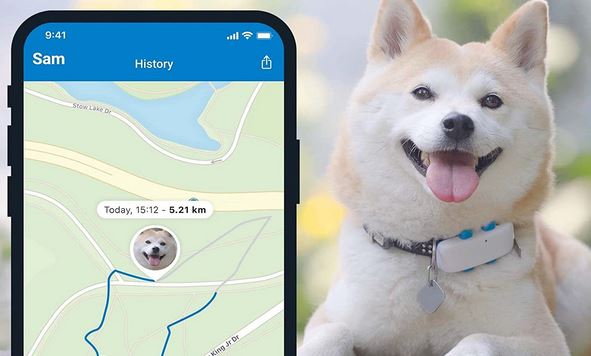 Tractive Real-time GPS Dog Tracker