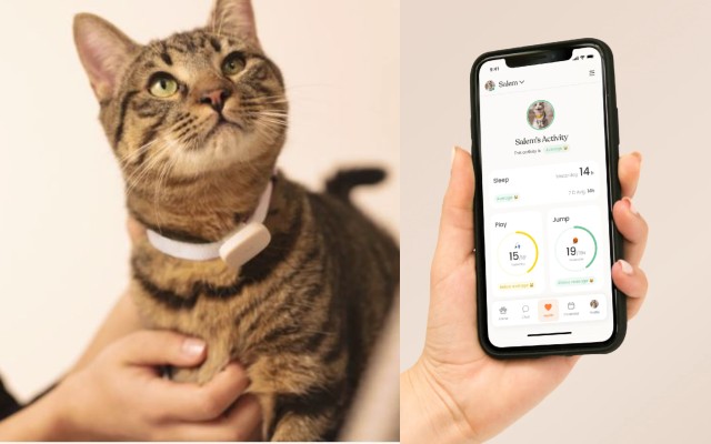 moggie Smart Wearable for Cats