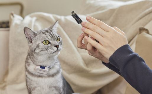 Catmos Smart Cat Activity Tracking Collar