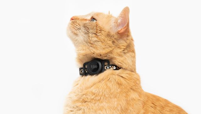 Tile for Cats Lets You Track Your Feline