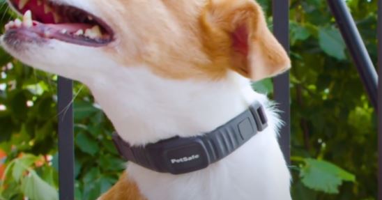 PetSafe NanoBark Smallest Bark Collar?